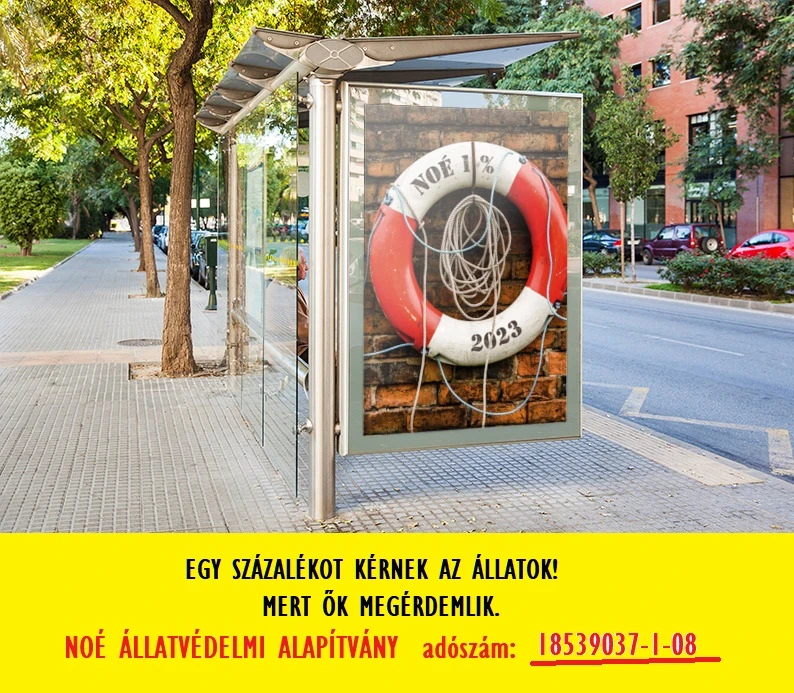 NOÉ Állatvédő Alapítvány