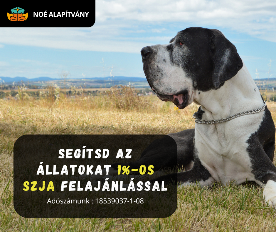 SZJA támogatás